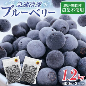 【ふるさと納税】有機栽培・栽培期間中農薬不使用！急速冷凍ブルーベリー 1.2kg 【JAほたるの里】_HA1517 送料無料 果物 フルーツ 朝食 ヨーグルト スムージー 目にいい 美味しい おやつ ふるさと 納税 果物 フルーツ