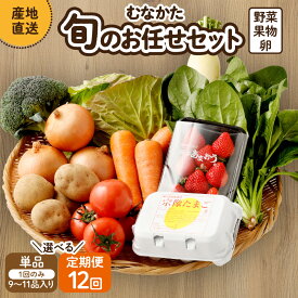 【ふるさと納税】【1回お届け／定期便12回】むなかた旬のお任せセット（野菜・フルーツ・卵） 9〜11品【JAほたるの里】 送料無料産直 新鮮 野菜 フルーツ 卵 定期便 宗像 1回