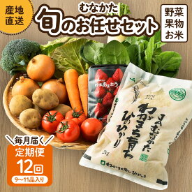 【ふるさと納税】【レビューCP対象】むなかた旬のお任せセット(野菜・フルーツ・お米／9〜11品)【1回お届け／定期便（年12回）】【ほたるの里】　送料無料