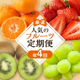 【ふるさと納税】【定期便/年4回】JAむなかた厳選！人気のフルーツ定期便 【ほたるの里】_HB0140 送料無料 あまおう 苺 シャインマスカット 葡萄 みかん キウイ フルーツ 果物 定期便 詰め合わせ おやつ 朝食 スムージー ふるさと納税 果物