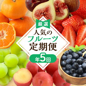 【ふるさと納税】【定期便/年5回】JAむなかた厳選！人気フルーツ定期便【JAむなかた ほたるの里】_HB0164　送料無料 数量限定 いちご あまおう すもも いちじく とよみつひめ シャインマスカット みかん ブルーベリー 旬 旬の時期 おいしい フルーツ 果物 宗像 福岡