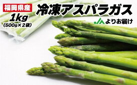 【ふるさと納税】【JAよりお届け】冷凍アスパラガス1kg（500g×2袋）_HA0839　送料無料