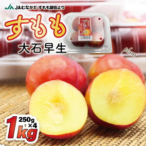 yӂ邳Ɣ[ŁzJAނȂ @(Α)1kg(250g×4pbN)yق̗z_HA1254 @s {  ʕ  yY