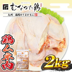 yӂ邳Ɣ[Łz@Yuh{yނȂ{zl2kgijyJAق̗z_HA1420@{[ Ƒ `LJc Ƒc wV[ ؓt T_`L