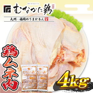 yӂ邳Ɣ[Łz@Yuh{yނȂ{zl4kgijyJAق̗z_HA1419@{[ Ƒ `LJc Ƒc wV[ ؓt T_`L