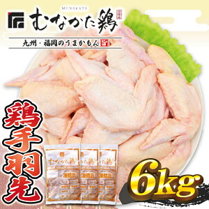 yӂ邳Ɣ[ŁzH 6kg ij @Y uh{ ނȂ{ yJAق̗z_HA1421  { ǂ `L  {[  sh`L p[eB[ Ƒ