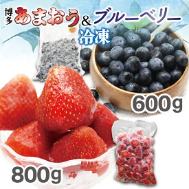 【ふるさと納税】冷凍あまおう800g ＆ 冷凍ブルーベリー600gセット 計1.4kg【JAほたるの里】_HA1653 送料無料果物 冷凍 フルーツ 朝食 ヨーグルト スムージー 目にいい 健康 美味しい おやつ