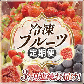 【ふるさと納税】【3ヶ月連続お届け】人気の冷凍フルーツ定期便【ほたるの里】_HB0191 送料無料あまおう ブルーベリー いちじく JA 福岡 宗像市 スムージー ビタミン 腸活 朝食 美容