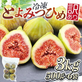 【ふるさと納税】訳あり冷凍いちじく「とよみつひめ」3kg【JAほたるの里】_HA1678 送料無料宗像市 お手軽 保存がきく 美味しい ヘルシー スムージー ヨーグルト