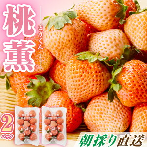 yӂ邳Ɣ[Łzys\zy2025N12{菇zY@O@2pbNZbgyi`bVEt@[EWFCs[z_HA1338 @s ʕ ̂ t[c 