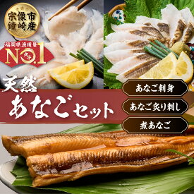 【ふるさと納税】あなごセット（あなご炙り刺し、あなご刺身、煮あなご）【宗像漁協】_HA1518　送料無料福岡県 宗像市 冷凍 90日 ポン酢 家族 食べ比べ