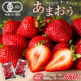 【ふるさと納税】オーガニックあまおう「いせいちご」2パック(MIX)【伊世いちご畑】_HA1116 送料無料苺 イチゴ フルーツ 化学農薬不使用 化学肥料不使用 冷蔵 ご褒美 おやつ 朝食 デザート