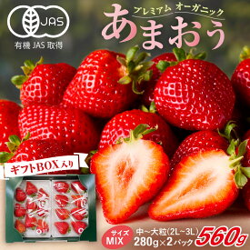 【ふるさと納税】プレミアムオーガニックあまおう　スペシャルギフト【伊世いちご畑】_HA0480 送料無料苺 イチゴ フルーツ 化学農薬不使用 化学肥料不使用 冷蔵 ご褒美 おやつ 朝食 デザート