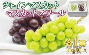 yӂ邳Ɣ[ŁzJAނȂIyނȂYVC}XJbgE}XJbgm[z2[(1kgȏ)yJAق̗z_HA1475@W[V[  J tbV  r^~