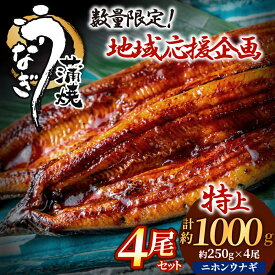 【ふるさと納税】数量限定！うなぎ蒲焼き4尾セット(約250g×4尾セット)【魚住商店】_HA1494 限定 特上 鰻 ウナギ 人気 特大 炭火 うなぎの蒲焼 丑の日 土用 真空 宗像