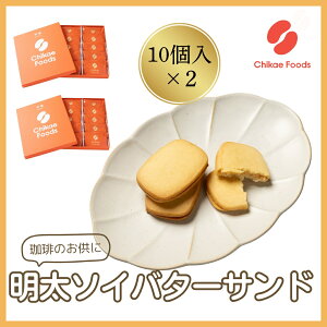 【ふるさと納税】明太ソイバターサンド(10枚入り×2箱)【ちかえフーズ】_HA1670 送料無料おつまみ おやつ
