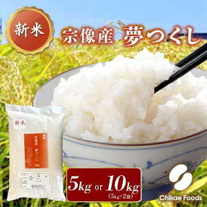 yӂ邳Ɣ[Łz@Y  5kg 10kgyt[Yz    @s @Y  5kg 5L 10kg 10L