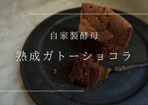 yӂ邳Ɣ[ŁznKg[VRy˂̂z_HA1675 fU[g Ɛy I[KjbN