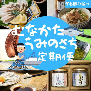 【ふるさと納税】【年6回/偶数月お届け】海のまちから「絶品」海産物をお届け!むなかたうみのさち定期便_HB0200