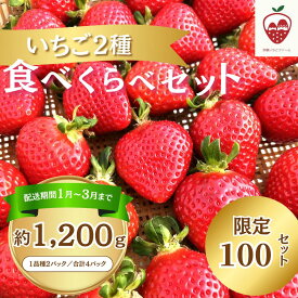 【ふるさと納税】何が届くかお楽しみ！人気のいちご2品種食べ比べセット【宗像いちごファーム】_HA1785 苺 イチゴ あまおう 紅ほっぺ さがほのか おいCベリー とちおとめ かおりの お楽しみ 福岡