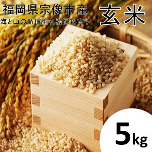 yӂ邳Ɣ[Łzz^L@엿ňāy1z߂y2z҂܂5kgyAOCATSz_HA1439   _sgp @s ͂ ɂ