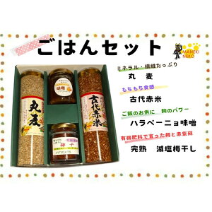 yӂ邳Ɣ[ŁzHA1846_yTԈȓɔzqMtgr͂ZbgyAOCATSz ۔ ԕ ~ X Hi ͂ т̂ Y _sgp @ 