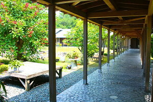 �y�ӂ邳�Ɣ[�Łz�������������̗��i�y�A�h�����j���ꕗ�h �y��h�͂Ȃ��сz_HA0537�@�������� ���s �v�w �J�b�v�� ���� ���J�� �L�O�� �C�J ��� �����b�N�X �@�� ��ȗ���