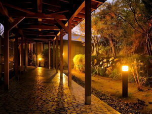 �y�ӂ邳�Ɣ[�Łz���������܂����ɏ��H���i�y�A�h�����j���ꕗ�h�y��h�͂Ȃ��сz_HA0540 �������� ���� ���s �v�w �J�b�v�� ���J�� �L�O�� �����b�N�X �@�� ��ȗ��� ����