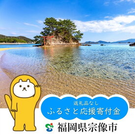 【ふるさと納税】【返礼品なし】宗像市ふるさと応援寄附 福岡県 宗像市 応援 寄附のみ 支援 寄付