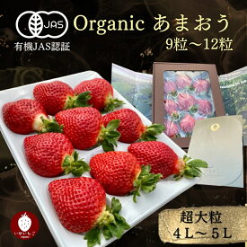 【ふるさと納税】プレミアムオーガニックあまおう 「いせいちご」 プレミアムギフト【伊世いちご畑】_HA0481 送料無料苺 イチゴ フルーツ 化学農薬不使用 化学肥料不使用 冷蔵 ご褒美 おやつ 朝食 デザート
