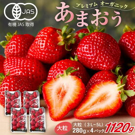 【ふるさと納税】オーガニックあまおう 「いせいちご」 おまかせ4パック（大粒）【伊世いちご畑】_HA1019 送料無料 苺 イチゴ 美味しい ご褒美 ギフト 宗像市
