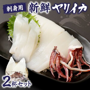 yӂ邳Ɣ[Łzyr[CPΏہzhgp@VNCJ2Zbg(@Y)y}PCYz_HA0416  @s VN hg CJh Q\ CJ ̍ AW