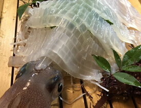 楽天市場 ヤリイカ 刺身の通販