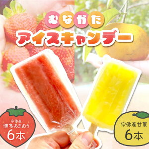 yӂ邳Ɣ[ŁzỷwނȂz ނȂACXLf[i@Y ܂^@Y Éāje6{iv12{j_HA1021 َq ACX  Ⓚ ql ₽ t[c 