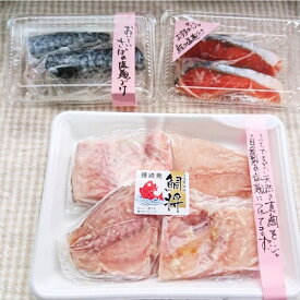 【ふるさと納税】鯛将　塩こうじ漬け3種詰合せ（鮭2切、サバ2切、真鯛4切）【道の駅むなかた】_HA1505　送料無料干物 魚 漬魚 宗像産 冷凍 セット 詰め合わせ