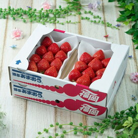 【ふるさと納税】【2026年2月より順次発送】福岡産【春】あまおうDX(デラックス)4パック【南国フルーツ株式会社】_HA1908