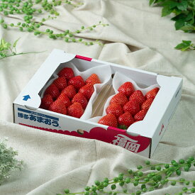 【ふるさと納税】福岡産【冬】あまおうDX(デラックス)2パック【南国フルーツ株式会社】_HA1911