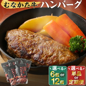 【ふるさと納税】むなかた牛 ハンバーグ セット 6個 12個 1回 6回 12回 定期便 ふるさと納税 定期便 ハンバーグ 個包装 福岡県 宗像市 冷凍 ジューシー お子様 お弁当