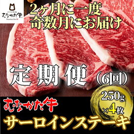 【ふるさと納税】【奇数月にお届け】むなかた牛サーロインステーキ 1kg（250g×4枚）定期便【すすき牧場】_HB0120 送料無料