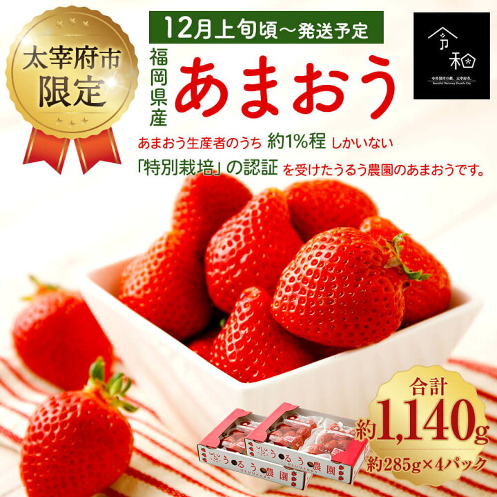 楽天市場 ふるさと納税 太宰府市限定 予約 あまおう M Gサイズ 合計約1 140g 約285g 4パック 22年12月上旬頃より順次発送予定 いちご イチゴ 苺 フルーツ 果物 冷蔵 九州産 福岡県産 太宰府市 送料無料 福岡県太宰府市