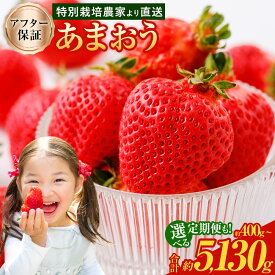 【ふるさと納税】あまおう ★1パック追加★予約 【TVで紹介！】【特別栽培/有機質肥料/アフター保証】 ＜選べる 種類・容量・お届け回数＞ 約400g～合計約5130g 1回お届け / 2回・3回定期便 【2025年12月上旬～4月上旬より発送予定】 いちご 苺 果物 果実 フルーツ 送料無料