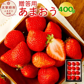 楽天市場 イチゴ あまおう 苗の通販