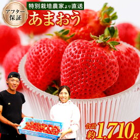 【ふるさと納税】予約 【TVで紹介！】【特別栽培/有機質肥料/アフター保証】 あまおう ＜選べる 種類・容量＞ 約400g～合計約1710g デラックス/エクセレントサイズなど【2025年12月上旬又は2026年1月上旬～4月上旬発送予定】 いちご 苺 送料無料