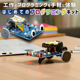【ふるさと納税】はじめてのプログラミングキット コロボライト2【MR-007】 プログラミングカー 走る プログラミングロボ プログラミング 学習キット 学習教材 九州 福岡県 太宰府市 送料無料