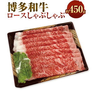 yӂ邳Ɣ[Łza [X Ԃ 450g  a   [X [X ؂ ؂ Ԃԗp Ⓚ  B  ɕ{s  yVX[p[SALE 9
