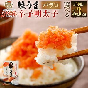 yӂ邳Ɣ[ŁzIׂeʁ܂ݓ  p hqq oR 500gi1j / v1kgi2j / v2kgi4j / v3kgi6j ߂񂽂 Ƃ XPgE_   Y