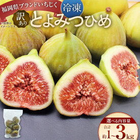 【ふるさと納税】＜選べる内容量＞訳あり 冷凍いちじく 「とよみつひめ」 1袋500g 計1kg（2袋） / 計2kg（4袋） / 計3kg（6袋） いちじく イチジク 無花果 真空パック くだもの 果物 果実 フルーツ デザート シャーベット コンポート 国産 九州 福岡県産 太宰府市 送料無料