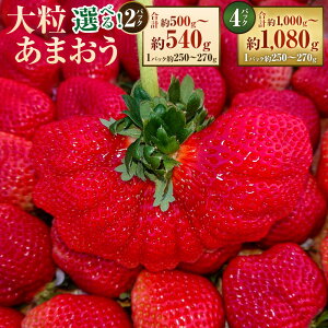 �y�ӂ邳�Ɣ[�Łz���\�񁄑嗱���܂��� ���I�ׂ���e�ʁ� 2�p�b�N / 4�p�b�N 1�p�b�N�������250�`270g ���܂��� ������ �C�`�S � �t���[�c �������� �ʕ� �ʎ� �f�U�[�g �������Y ���Y ��B 