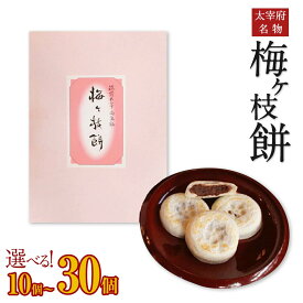 【ふるさと納税】太宰府名物 梅ヶ枝餅 ＜選べる内容量＞ 10個 / 20個 / 30個入り うめがえもち もち お菓子 焼餅 和菓子 小豆 あん 餡 国産 九州産 送料無料