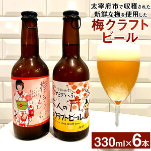 yӂ邳Ɣ[Łz~Ntgr[ r[   Y ~ Ntgr[ nr[ ς t[eB[ 330ml×6{ ɕ{s  yVX[p[SALE 9J